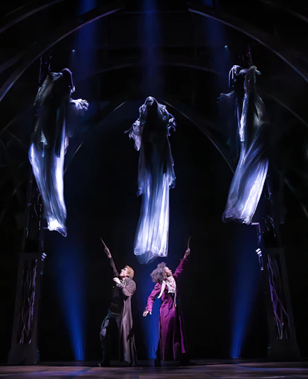 Harry Potter and the Cursed Child