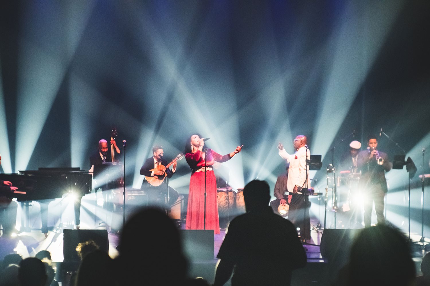 Buena Vista Orchestra