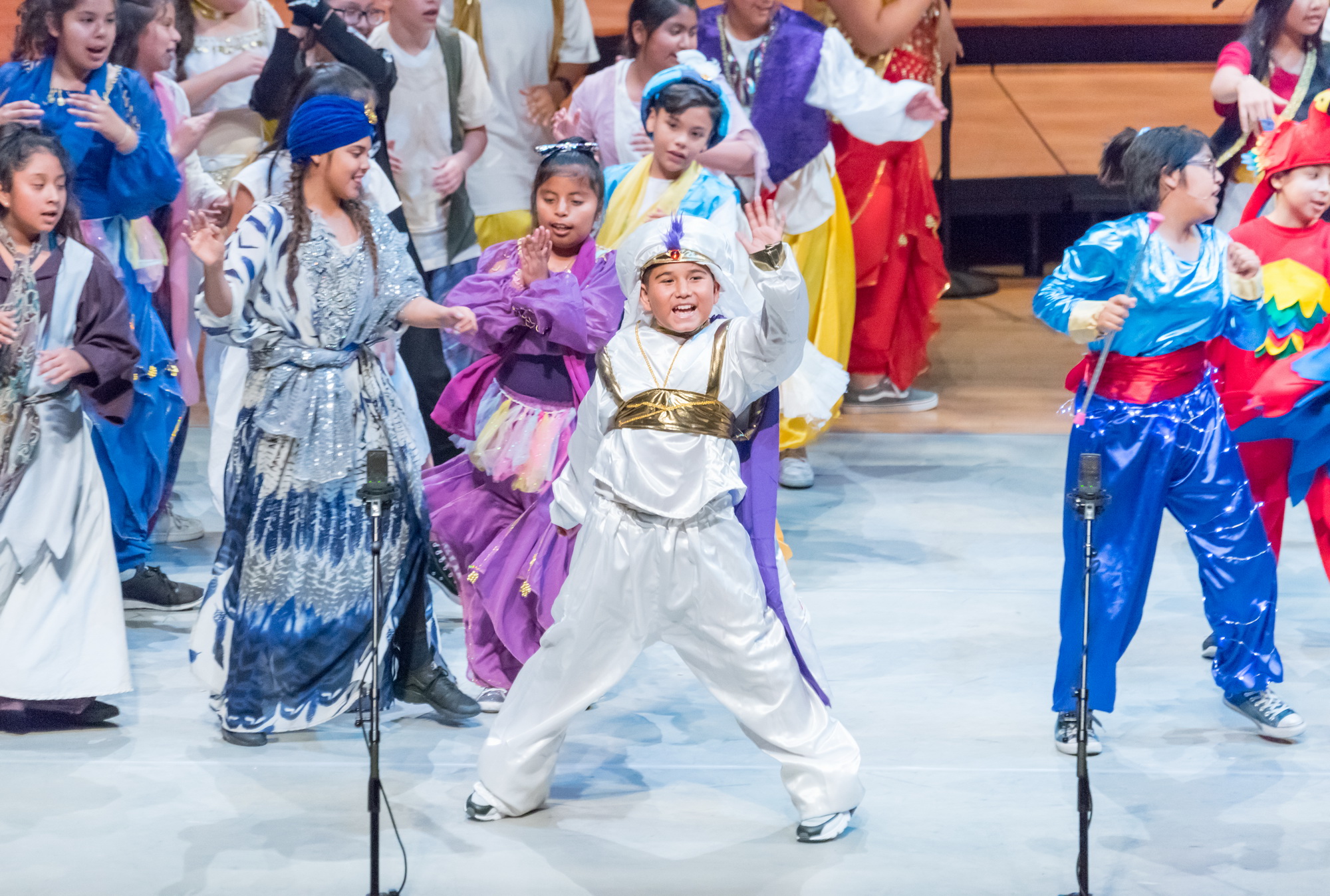 Disney Musicals in Schools